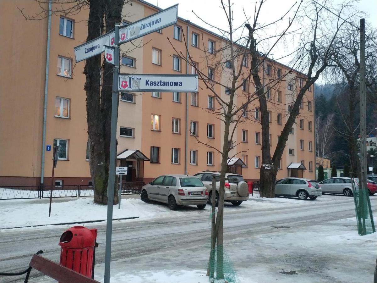 Apartament Zdrojowy Rymanów-Zdrój Extérieur photo